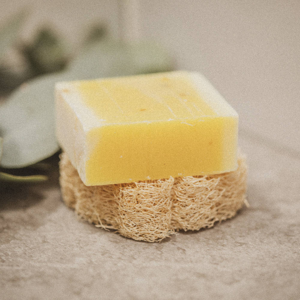 Feste Seife auf Luffa
