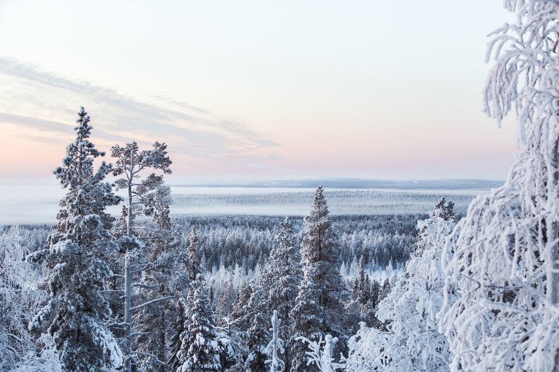 Nordic Natural Beauty Awards 2022