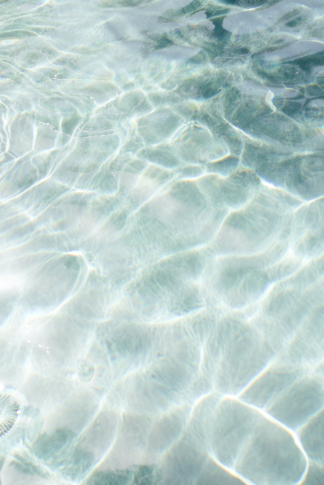 pool water 