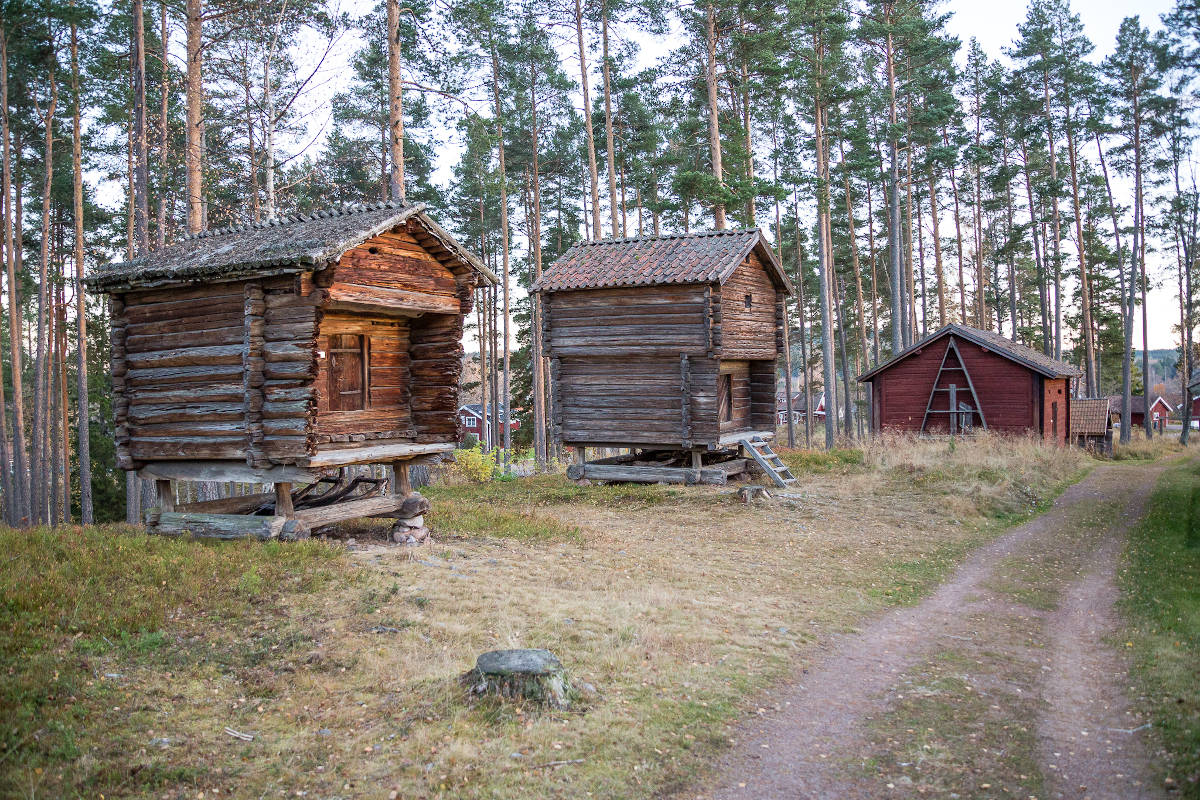 swedish landscape with wooden houses