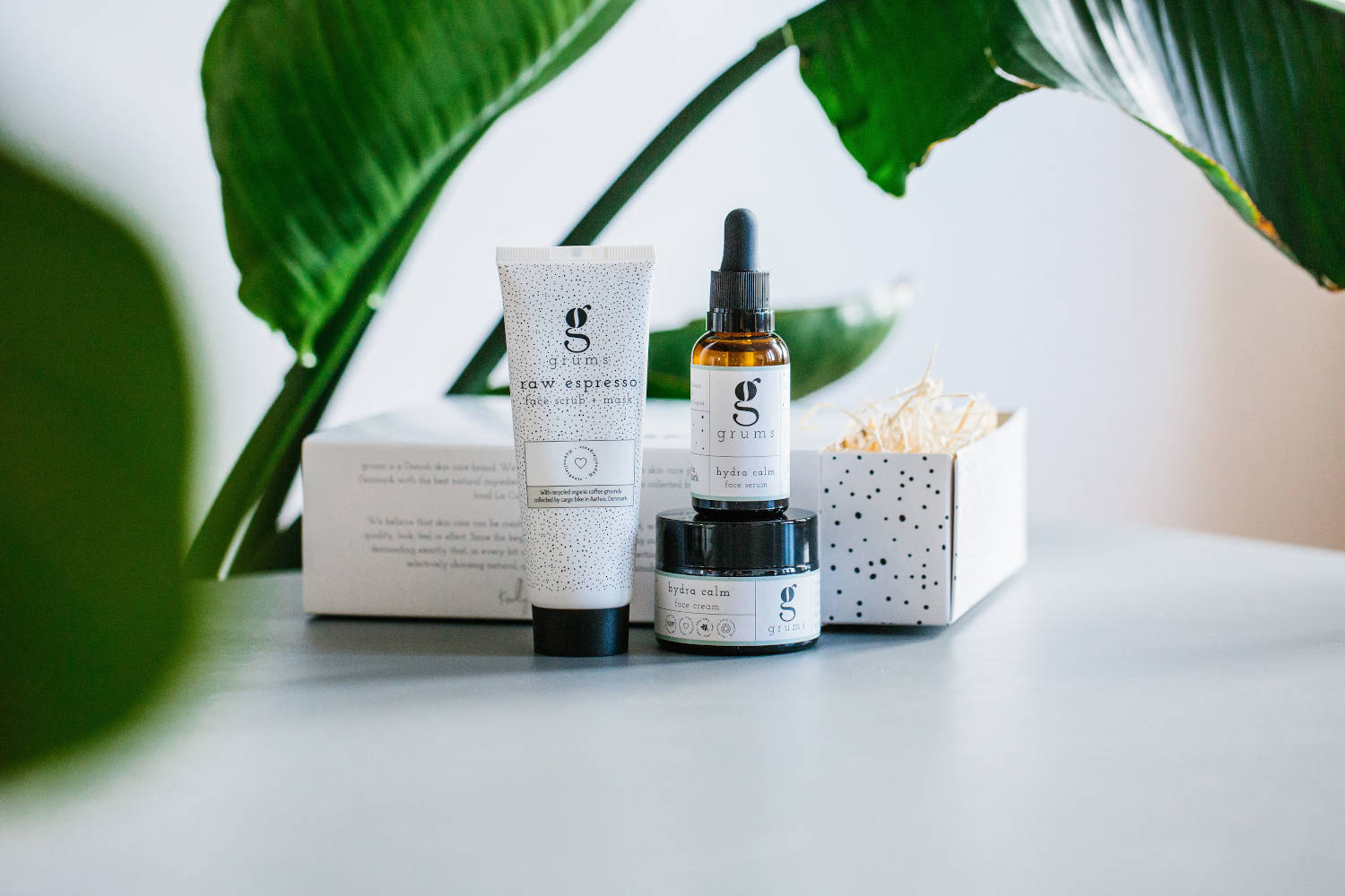GRUMS The Facial Box (face scrub/mask + face cream + face serum, 3 Produkte + Pflanze