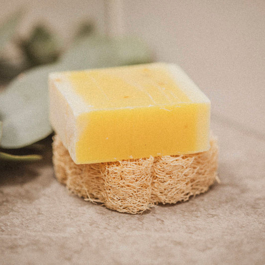 Feste Seife auf Luffa